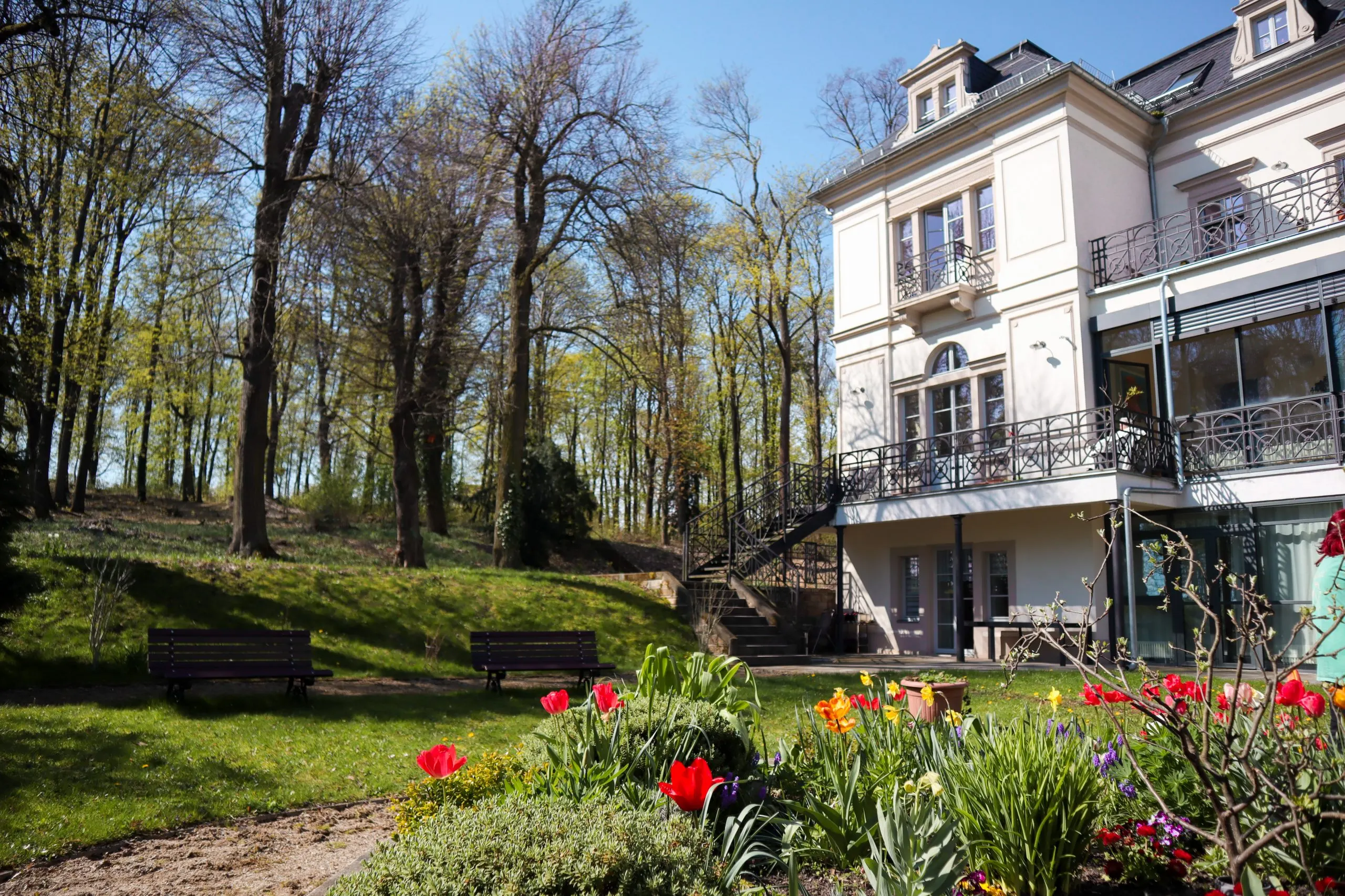 Frühlingsblick auf den Katharinenhof Meißen aus dem Garten – mit Magnolienblüte, Tulpen und Sitzbänken